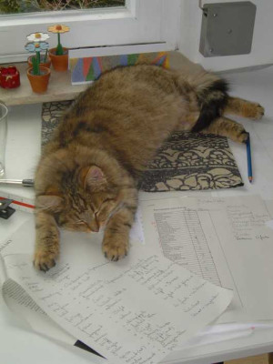 Arbeit.jpg