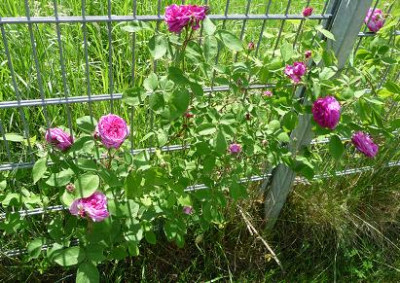 RdV_05_09_02.JPG