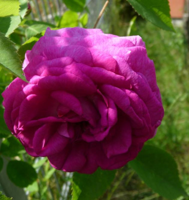 RdV_05_09_05.JPG