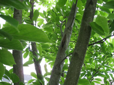b_IMG_8760.jpg