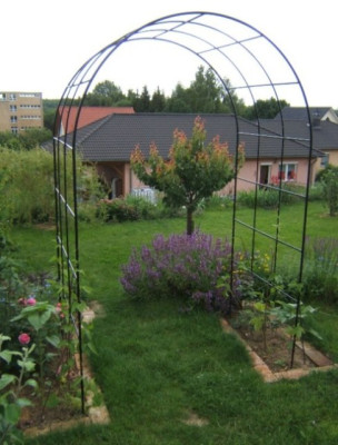 Rosenbogen_06-09.JPG