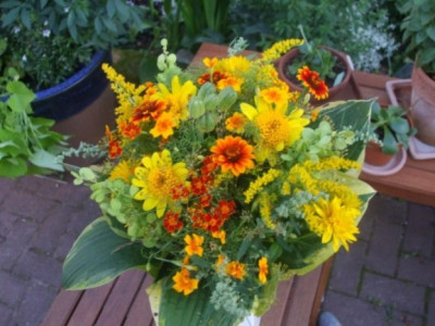 DSCF1390.JPG