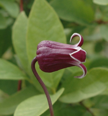 A9526a.JPG
