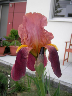 SANY0103.JPG