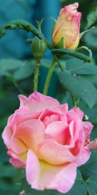 Dr._Eckener1_DSC_0027.jpg