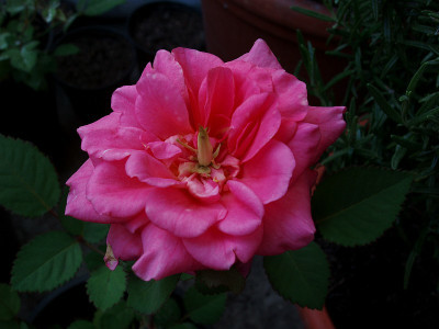 u3_berlin20090604_2.jpg