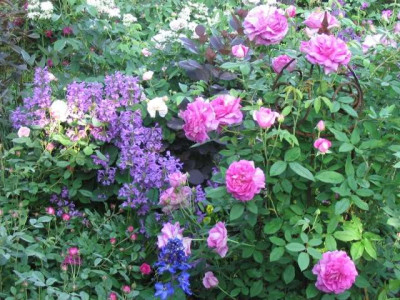 Garten_Juni_2003_011a.jpg