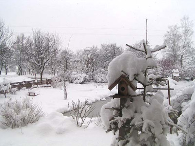 schnee_am_24_02_04.jpg