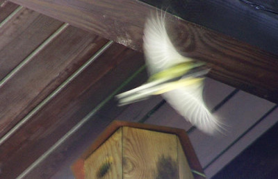 100_8515.JPG