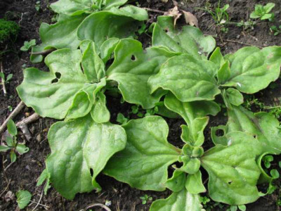K640_IMG_0632.JPG