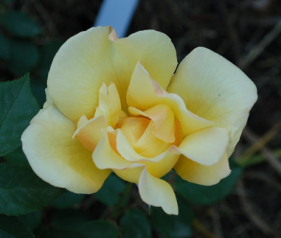 Drei_Gleichen_0011__48746.jpg