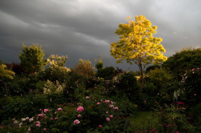 Garten0769.jpg