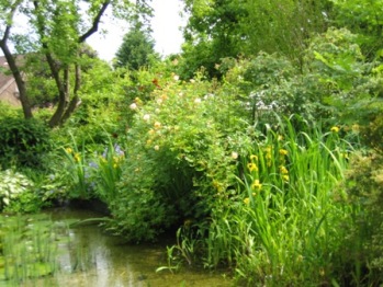 Gartenteich_A.jpg
