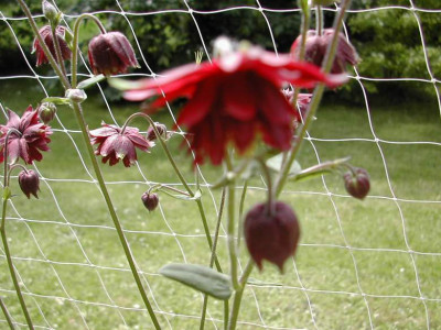 13.5._0901.JPG