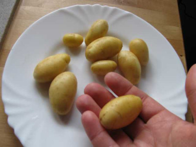 K640_IMG_0636.JPG