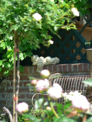 engel001.jpg