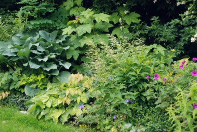 a_garten_juni_kat_01.jpg