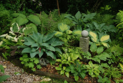 a_garten_juni_kat_02.jpg
