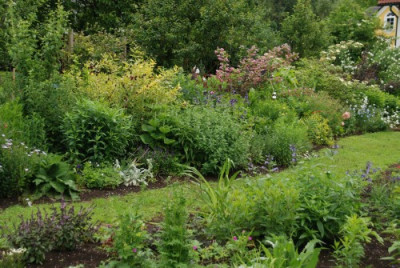 a_garten_juni_kat_03.jpg