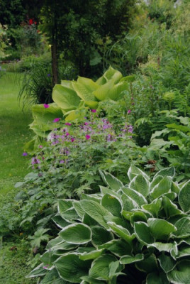 a_garten_juni_kat_05.jpg