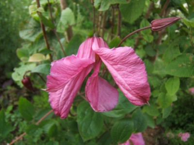 DSCF8332.JPG