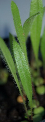 Was2_DSC_0022.jpg