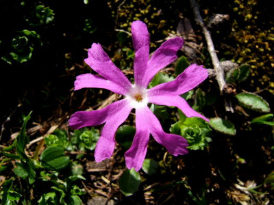 DSCF9299.JPG