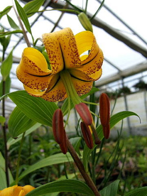 DSCF9253.JPG