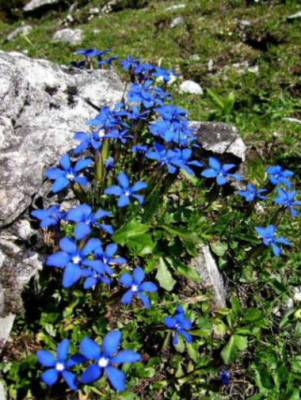 DSCF9317.JPG