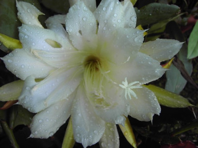 PICT2972.JPG