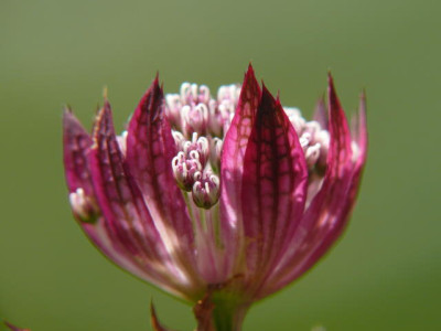 P1210350.jpg