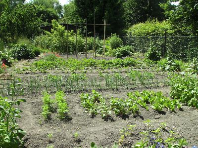 Gemusegarten.jpg