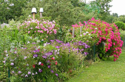 Zaun_am_Gemusegarten_14.6.09.jpg