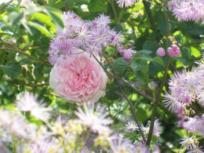 Felicite_Parmentier_k101_4805.jpg