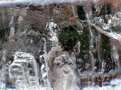 20.02_Eis.jpg