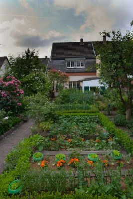 090603-garten-010.jpg