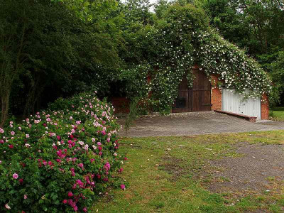 dornroeschengarage.jpg