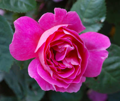 Line_Renaud__0010__52413.jpg