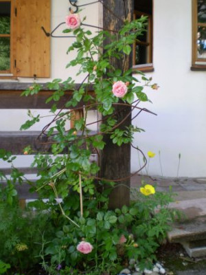 klasse5.jpg