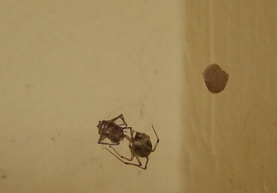100_8747.JPG