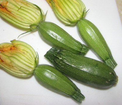 erste_zucchinis.JPG
