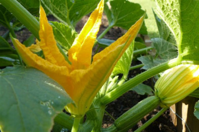 18.06.2009.60.JPG