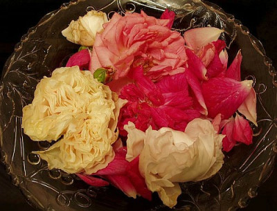 geburtstagsrosen_test.jpg
