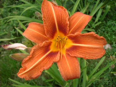 K640_PICT1171.JPG