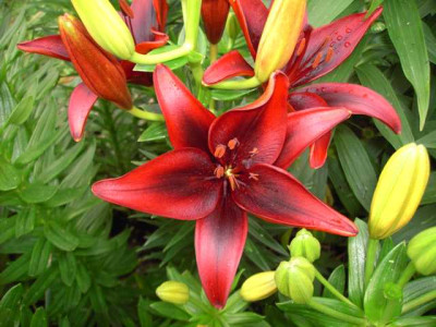 K640_PICT1129.JPG