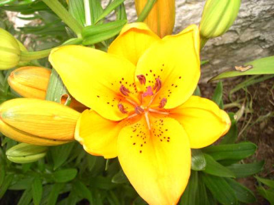 K640_PICT1126.JPG