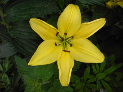 K640_PICT1176.JPG