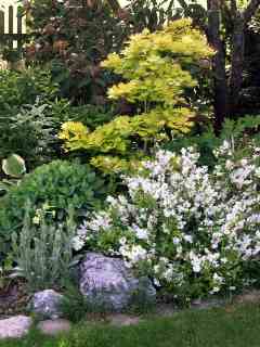juni_04_008003.jpg