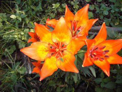 K640_PICT0004.JPG