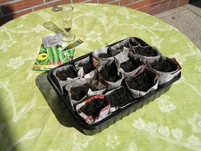 okra220409-1kl.JPG
